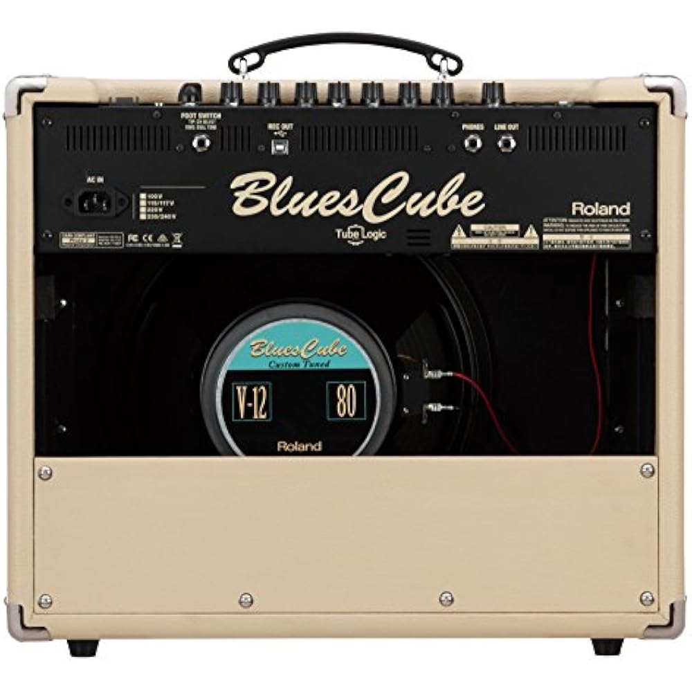 Roland/Blues Cube Stage Roland 60W Guitar Combo Amp Blues Cube