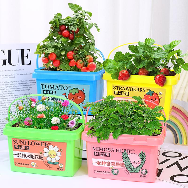 

Дети выращивают маленькие фрукты в горшках клубника детское мини-растение росток ферма рост наблюдение ящик научная практика