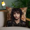 F-finn Wol-lfhard Pillow Case Anti-dustmite Invisible zipper Sofa Bed