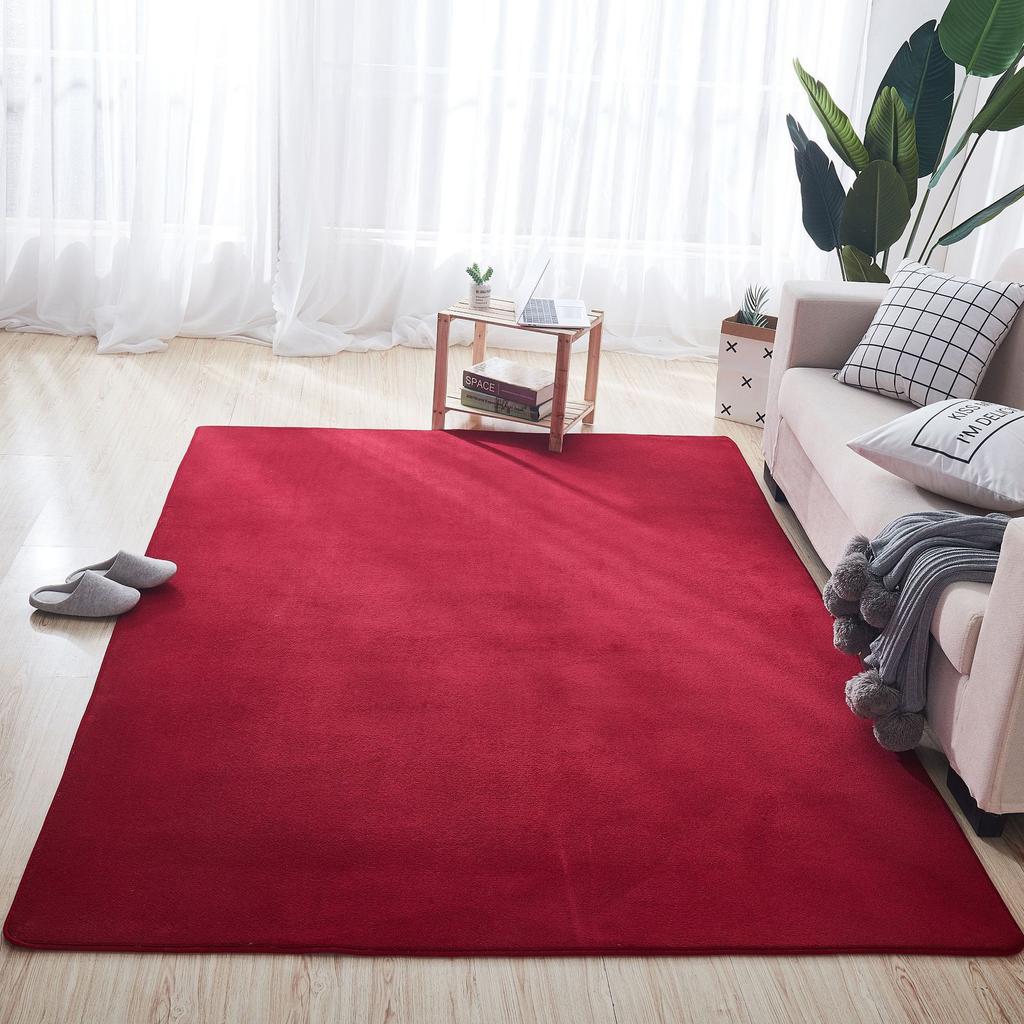 Thickened Coral Velvet Carpet Floor Mat Door Mat Door Entry Living Room Bedroom Bathroom Toilet Kitchen Absorbent Foot Mat