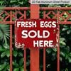 2D Flat, 1pc Vintage Farm Aluminium Sign 8x12 Inch - "FRESH EGGS SOLD HERE" Quote, Red Distressed Finish, Indoor/Outdoor Decor for Chicken Coop, Farm