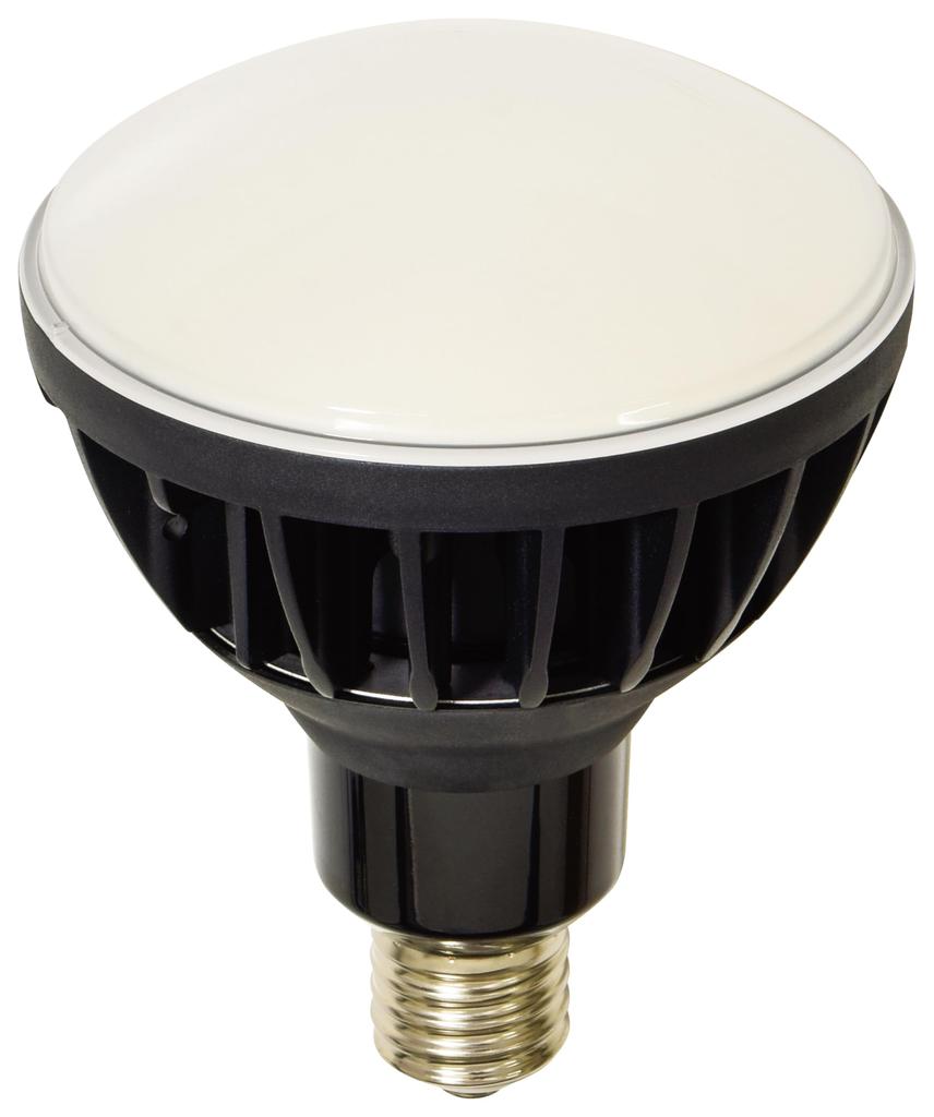 Nichido Industrial LED Floodlight 50W L50V2J110BK50K