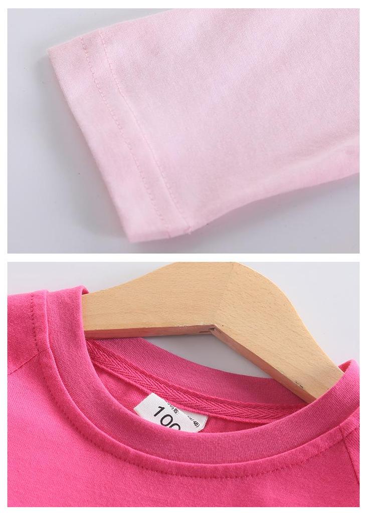 Stylish Spring & Autumn Long-Sleeved Dresses for Girls with Custom Mesh Skirts
