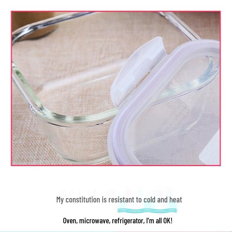 LOCK&LOCK Glass Food Storage Container