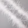 Ostrich Feather Strips for Dance Costumes, Formal Wear & Handmade Fashion Accessories