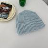 Korean Versatile and Simple Warm and Cold Hat Autumn and Winter Light Version Wool Knitted Hat Trendy Japanese Wool Hat
