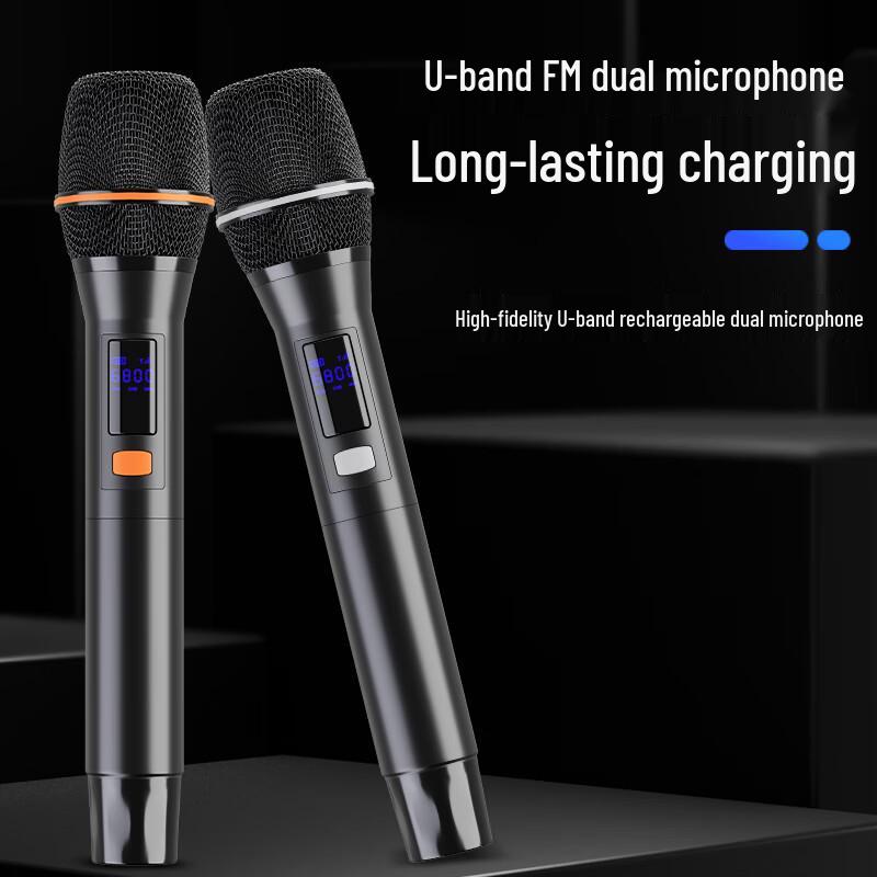 HuiDu DM-88 Portable Dual 8-inch PA Speaker