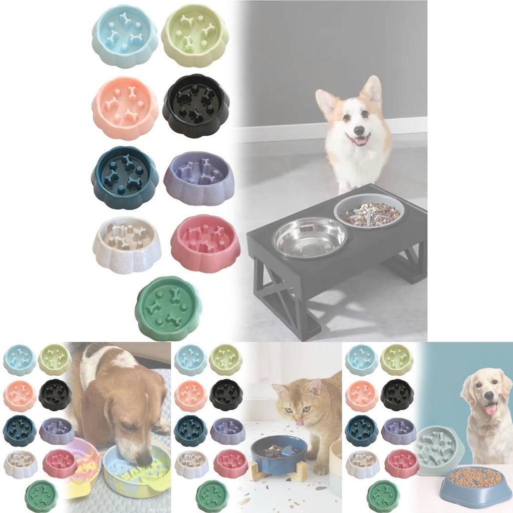 Pet Care Slow Eating Bowl For Small Dogs And Cats With Durable Pp Material
