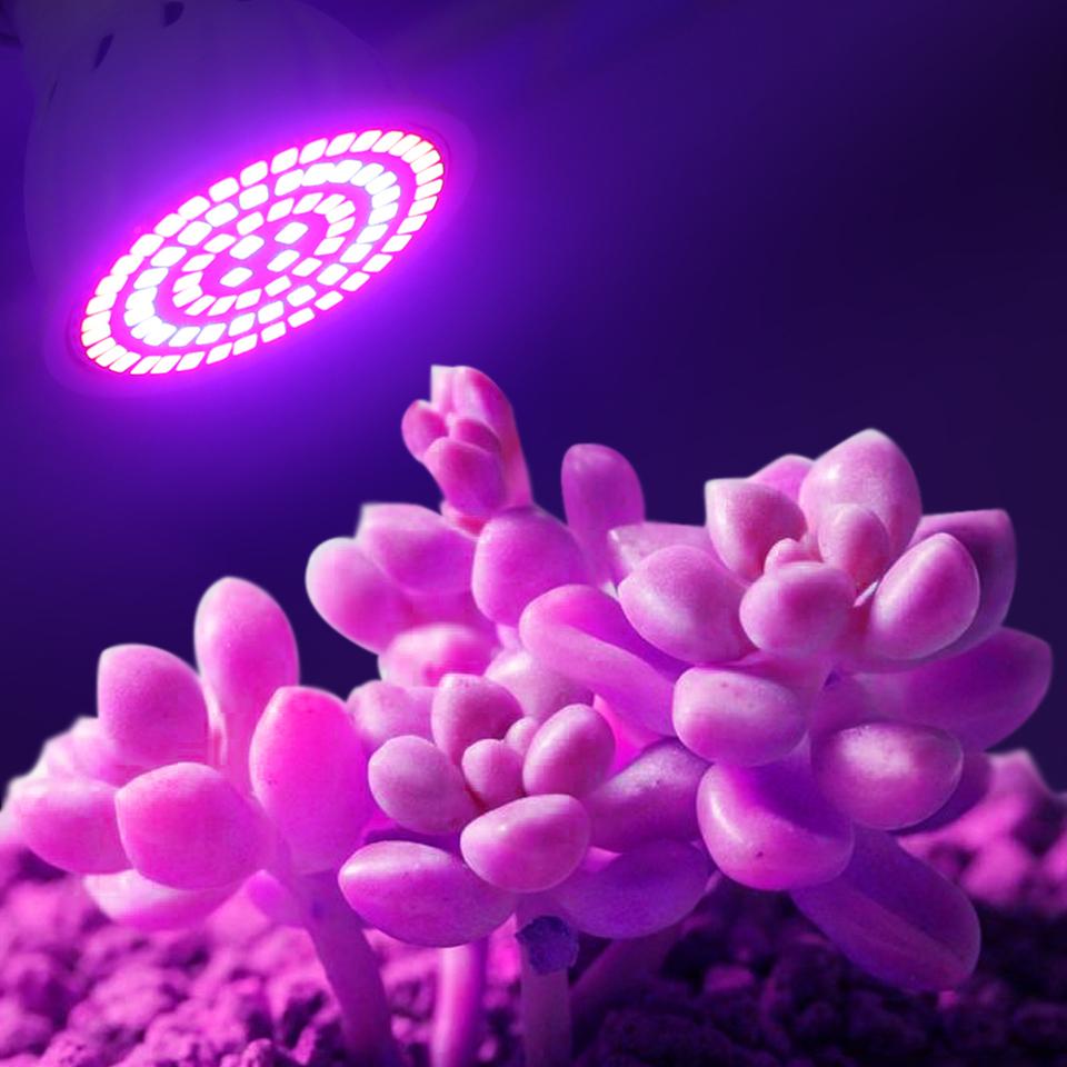 Led Grow Žárovka 220V E27 60 80LED LED Full Spectrum LED Rostlin Skleník Hydroponické Růst Světlo Vnitřní rostlina Fyto Květinová Lampa