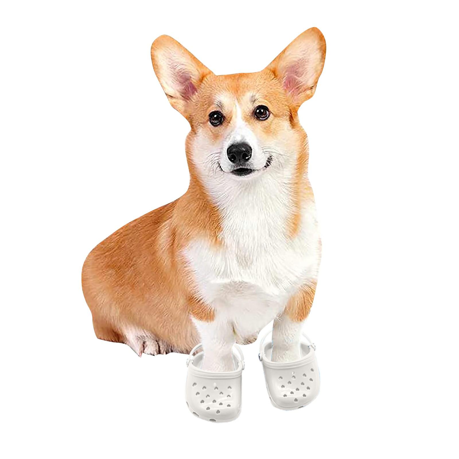 

Обувь для домашних животных Дышащие сандалии для маленьких собак Яркие цветные дырявые туфли One Size белый