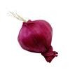Foam Faux Garlic Replicas Pack of 10 Bright Color Party Decors Accent Safe for Children Pet Friendly Household Accessories