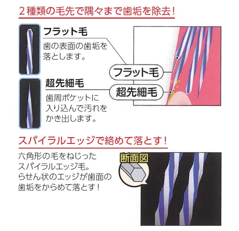Ci Medical Ci PRO FOUR Lot de 25 brosses à dents à 4 rangées Brosse à dents Pro Four M Normal Spirale Double Poils