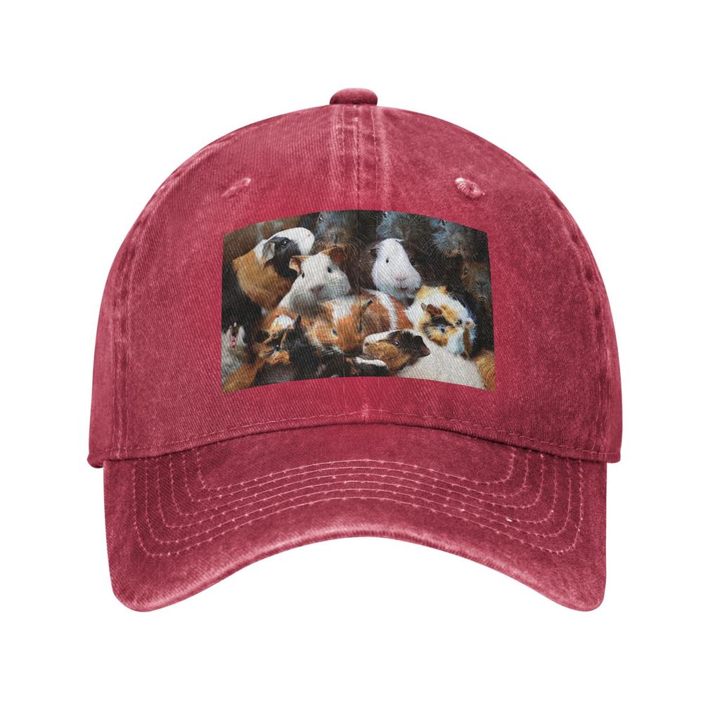 Guinea Pigs Baseball Caps Fashion Denim Hats Outdoor Adjustable Casquette Sports Baseball Cowboy Hat for Unisex Women