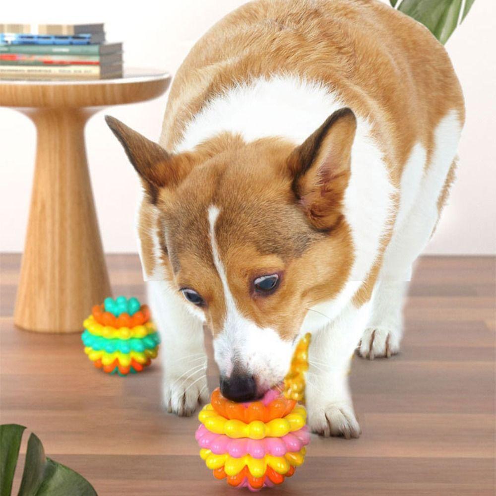 Colorful Dog Elastic Ball Toy High Elastic Dog Tooth Cleaning Toy For Dogs Cats