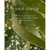CHANDO - Sensitive Scalp Repair Serum