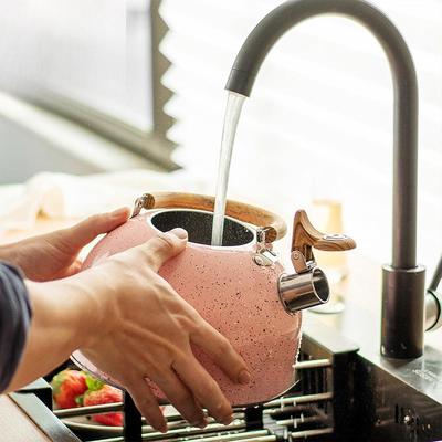 3L Stainless Steel Whistling Tea Kettle Water Boiler Large Capacity Water Kettle for Dorm Outdoor Camping Household Apartment