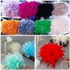100CM Multi-Color Feather Trim | Pre-Punched Holes DIY Supplies for Lampshades, Christmas Trees & Boho Wedding Arches