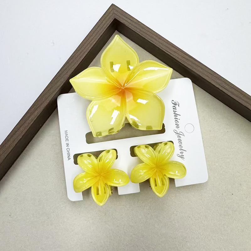 Sada skřipců do vlasů s frangipani: Květinové vlasové doplňky s imitací mramoru pro módní svátky