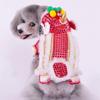 Pet Dog Clothes New Year Chinese Lion Dance Costume Coat For Teddy Costume Small Dog Spring Festival Tang Suit Clothing