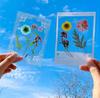 DIY Transparent Bottle Embossed Sticker Bag Student Made Herbarium Clip And Stick Handmade Creative Dry Flower Bookmark