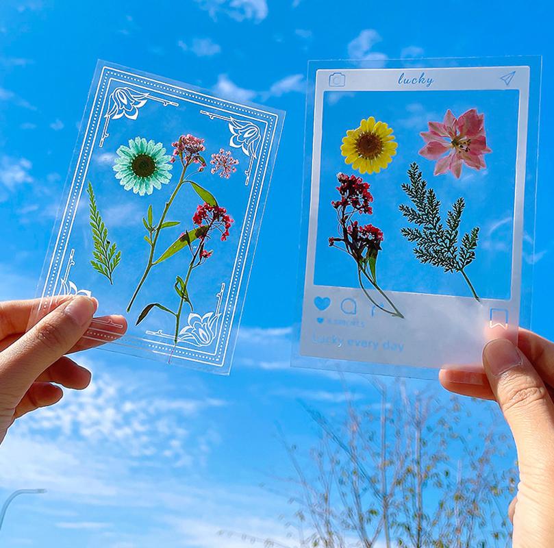 DIY Transparent Bottle Embossed Sticker Bag Student Made Herbarium Clip And Stick Handmade Creative Dry Flower Bookmark
