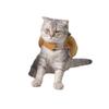 Halloween Party Dress Up Warm Carnival Hot Dog Hamburger Packaging Suit