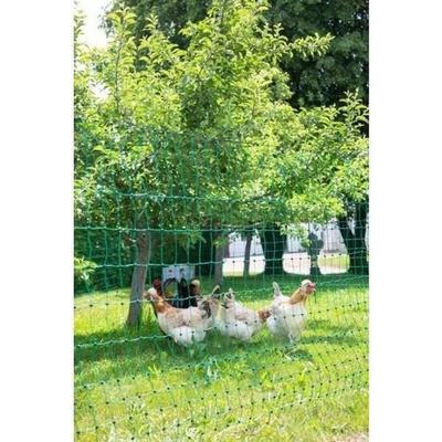 Recinzioni e reti da giardino – Recinzioni, graticci e cancelli