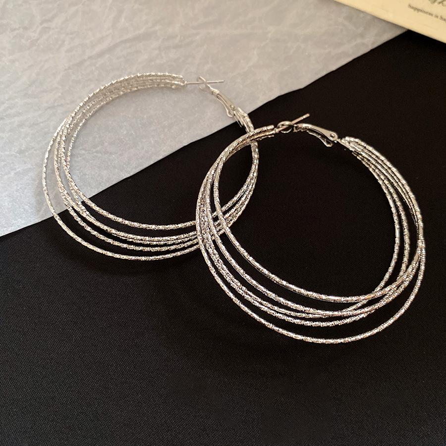 

Большие серьги-кольца, модные, персонализированные, в журнальном стиле, преувеличенные круглые серьги в стиле панк серебряный