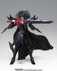 Saint Cloth Myth EX Hades COLOR 180mm Painted Figure ~ORIGINAL EDITION~ Approx. ABS&PVC&diecast