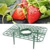 Strawberry Growing Rack Detachable PP Waterproof Reusable Strawberry Plant Support For Soil Planting Indoor Pots