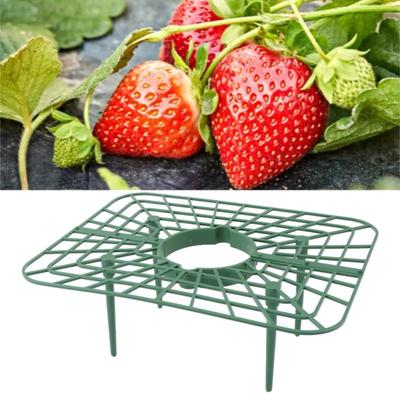 Jardinería y paisajismo – Soportes para plantas