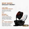 DR. MOREPEN Shilajit Harz | 100% reiner Himalaya-Extrakt | Natürlich & Sicher | 15g
