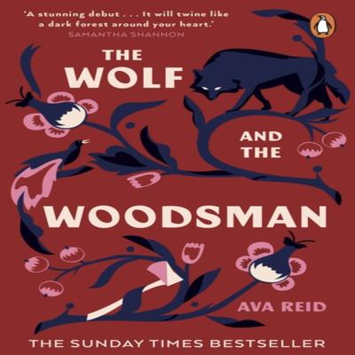 The Wolf and the Woodsman by Ava Reid Paperback Book 9781529100754