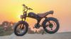 Electric Bicycle EMOKO C93 ,a 1000W Motor, a 48V 20Ah Battery, a Top Speed of 50-55 Km/h, a Range of 75 Km, and 20*4.0 Inch Tires