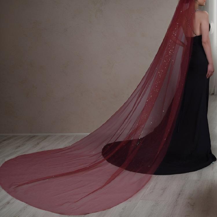 Delicate Lace Tulle Bride Veil Overlength Gilding Veil for Woman Marriage