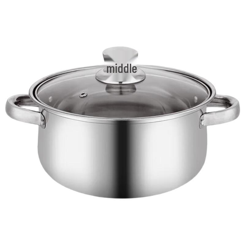 Stainless Steel Stew Pot