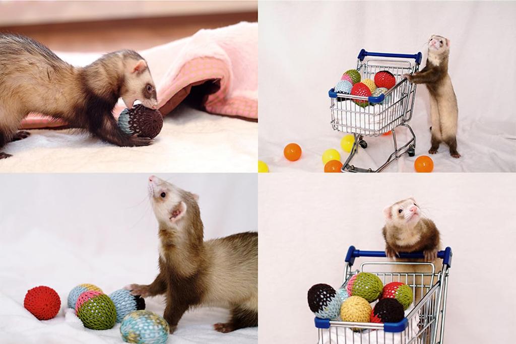 Cute Handmade Ferret Made In Ferret Caramel and with Chewable and Fun To Great Gift 5cm X 7cm Toy! Japan! Egg, Beige, Bell, 100% Wool, Roll,