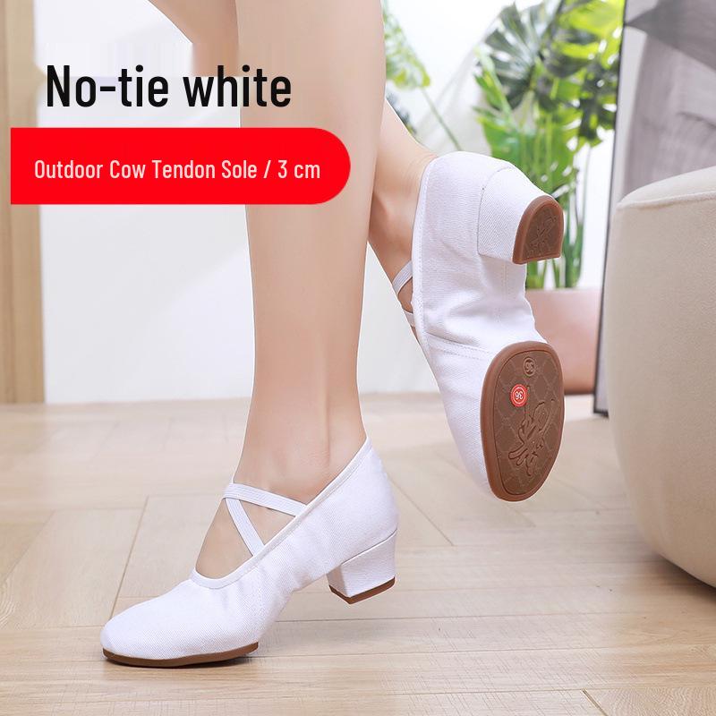 Women's Lace-Free Ballet Heeled Dance Shoes with Soft Sole for Yoga and Classical Dance