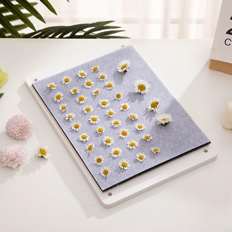 Dried Flower Embossing Device, Herbarium Making Tool, Handmade Flowers, Fruit Slices, Dried Leaves, Flower Board DIY