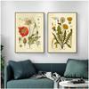 Vintage Wild Plant Poster Botanical Flower Study Living Room Hanging Painting Peony Picture Aesthetic Room Decor Canvas Paintng
