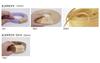 Hamanaka Eco Craft, approximately 15mm wide, 5m roll, Col.34, Cosmos 2233