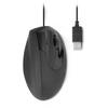 Souris Filaire - URBAN FACTORY - EMR01UF-V2 - Ergonomique - USB - 1600 Dpi
