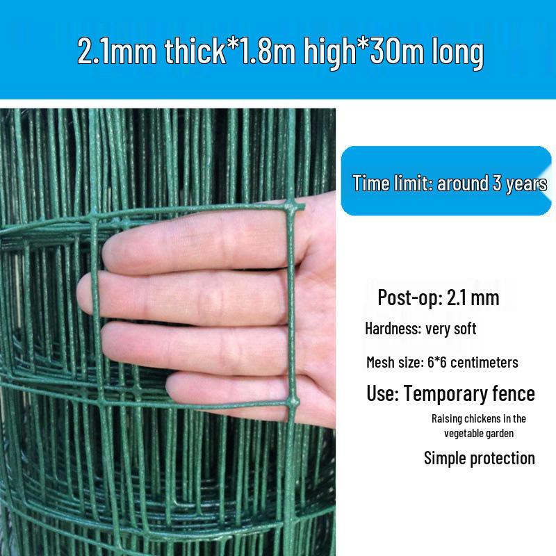 Rustproof Green Plastic-Coated Mesh Wire Fence for Chicken Enclosure