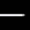 Ampoules – Ampoules économiques et fluorescentes