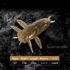 6Pcs Realistic Bionic Worm Lure Anti-hook snag Floating Bait Premium Soft Fishing Lure  Bass