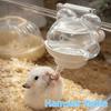 Prevent Dripping Hamster Magnetic Kettle Automatic Wall Mounted Pet Water Dispenser Magnetic Rack 220ml Hamster Water Bottle