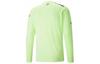 PUMA Manchester City Soccer Jersey Men's Green 765735-03