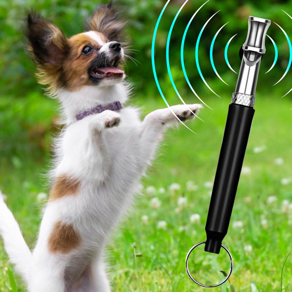 2Pcs Pet Training Whistle with Keychain Silent Ultrasonic Training Flute Puppy Train Whistle for Dog Training Deterrent Whistle