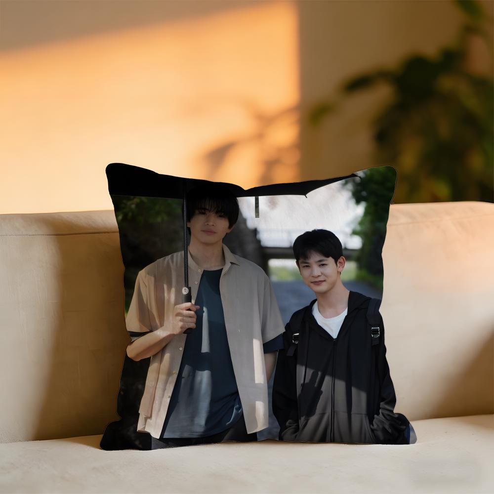 I Hear The Sunspot Cushion Cover Cozy Velvet Throw PillowSoft Warm Cushion For Sofa  Bed