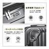 New Trip Expandable Carry-On Luggage, Lightweight, Large Size S/M/L, Hardside Spinner Suitcase with TSA Lock, Shockproof, Large Capacity, Zipper